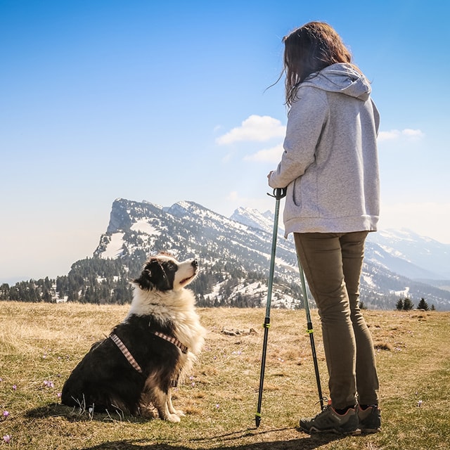 pies siedzi przed kobietą trzymającą  kijki do nordic walking na tle gór