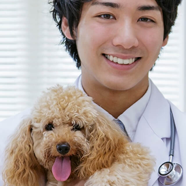 Toy-Poodle-Health-Risks_3.jpg