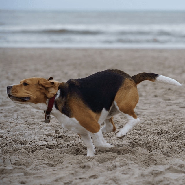 ayelt-van-veen-MYDSwdrCzl8-unsplash.jpg