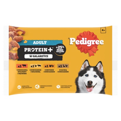 Adult Protein+ w Galaretce