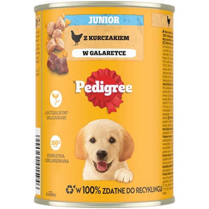 Junior z Kurczakiem w Galaretce