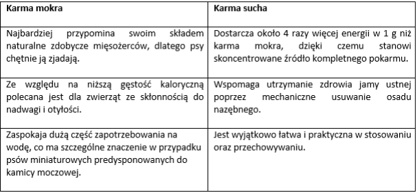 Karmy dla psów – jakie są ich rodzaje i z czego powstają?